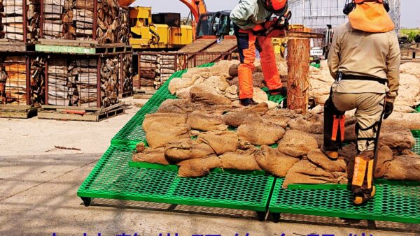 森林整備研修会（延期）の日程のお知らせ